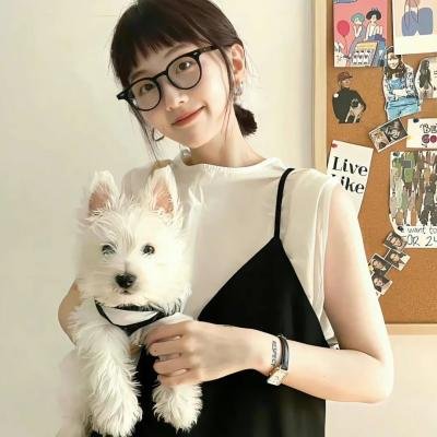 卧虎潜龙